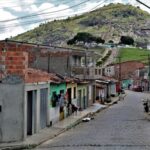 joaquim_gomes_progetto_plantaresperança_2024