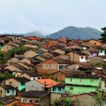 joaquim_gomes_progetto_plantaresperança_2024 (4)